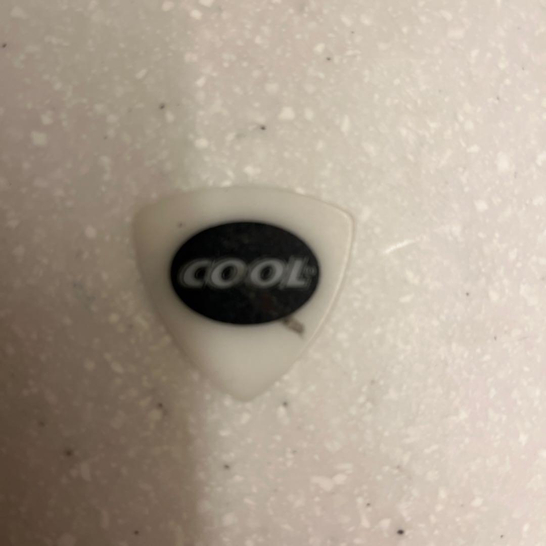 Bruce Springsteen ギターpick 2025 ツアー