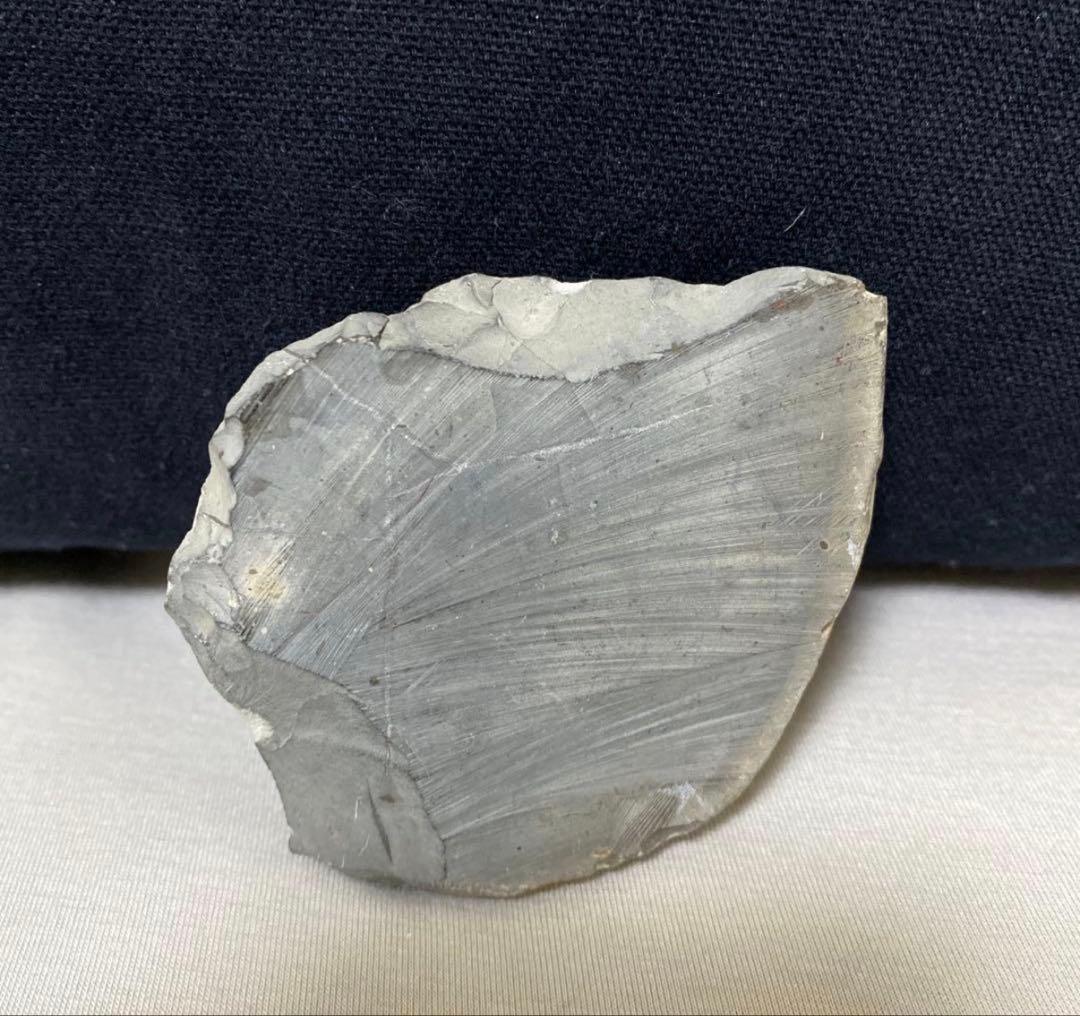 アンモナイト 化石 保存状態良好