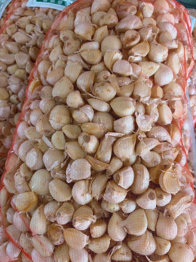 新物 青森県産 福地ホワイト六片 にんにく ムキ １０ｋｇ　L.M