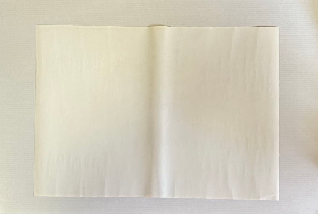 新品未使用　中島みゆき　田村正和　ワンカップ大関　店頭販促用B2ポスター　非売品