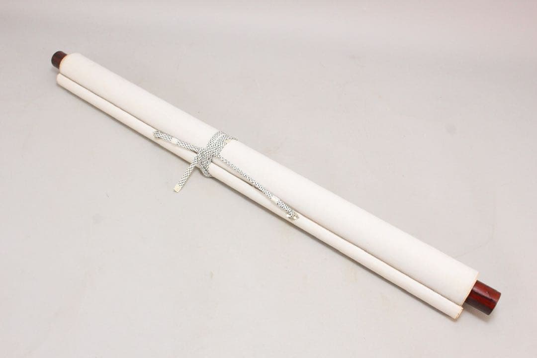 No5274 掛軸　在銘　杜飛　雙鷺図　紙本着色　中国画　唐画　鳥獣　送料無料