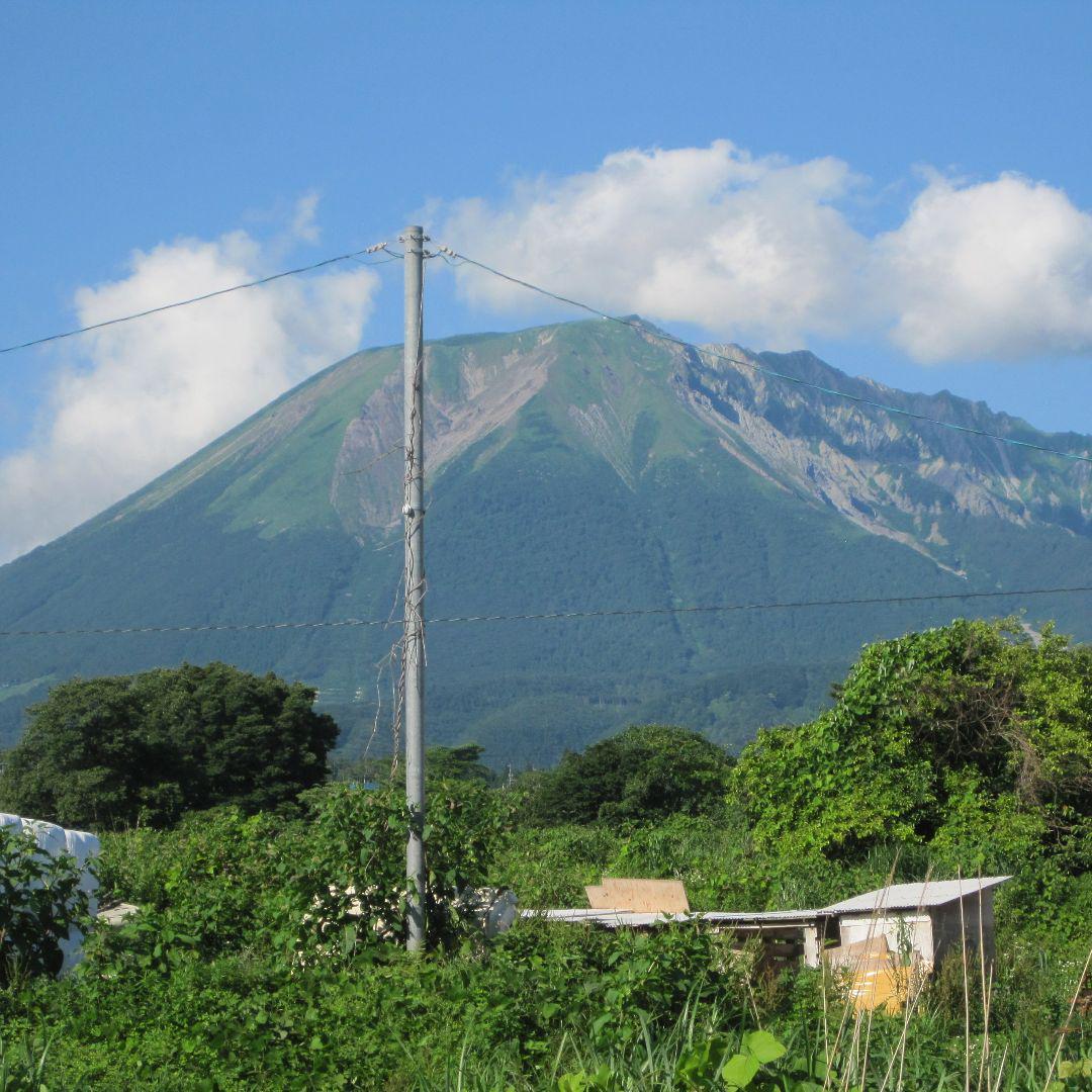 ☀️アカシア蜜５本&百花蜜５本　生はちみつ　自家製蜂蜜