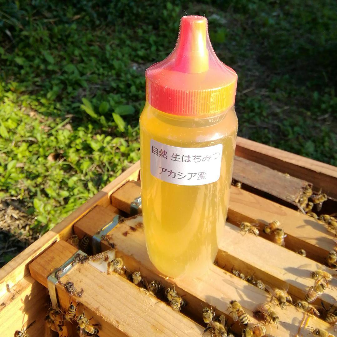 ☀️アカシア蜜５本&百花蜜５本　生はちみつ　自家製蜂蜜