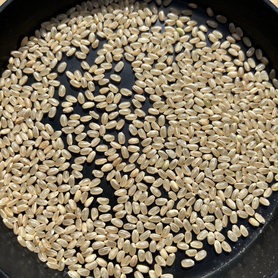 R7年産特別栽培 新潟の高級米 新之助 30㌔ 玄米 田植え後農薬は除草剤のみ