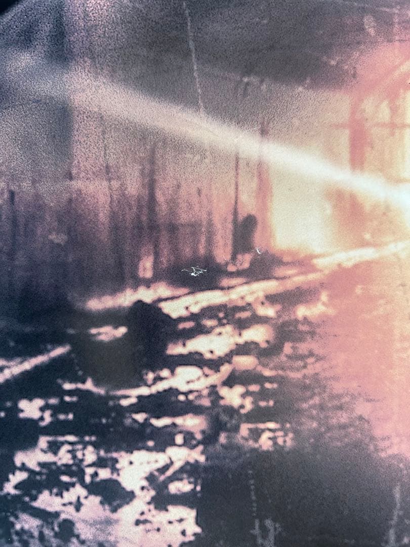 ボーン・コレクター　USオリジナル映画ポスター