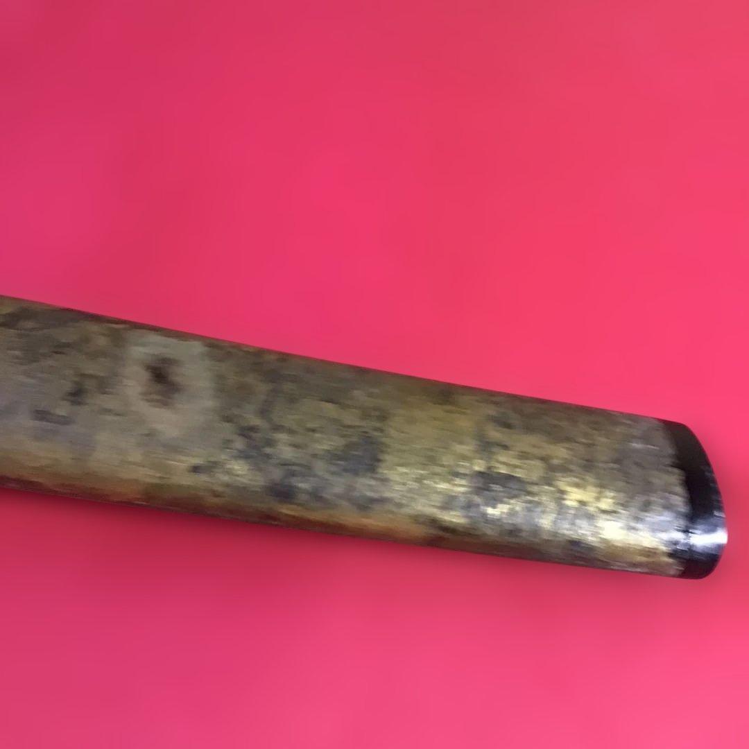 脇差一作拵　目貫飛龍　金被切刃　安親在銘鍔　金泥塗鞘　繋ぎは木製