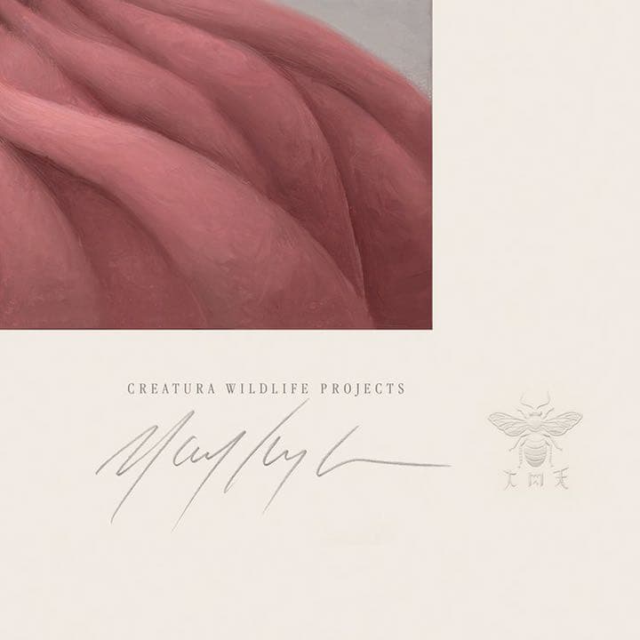 MARK RYDEN Yuki The Young Yak サイン入り ポスター