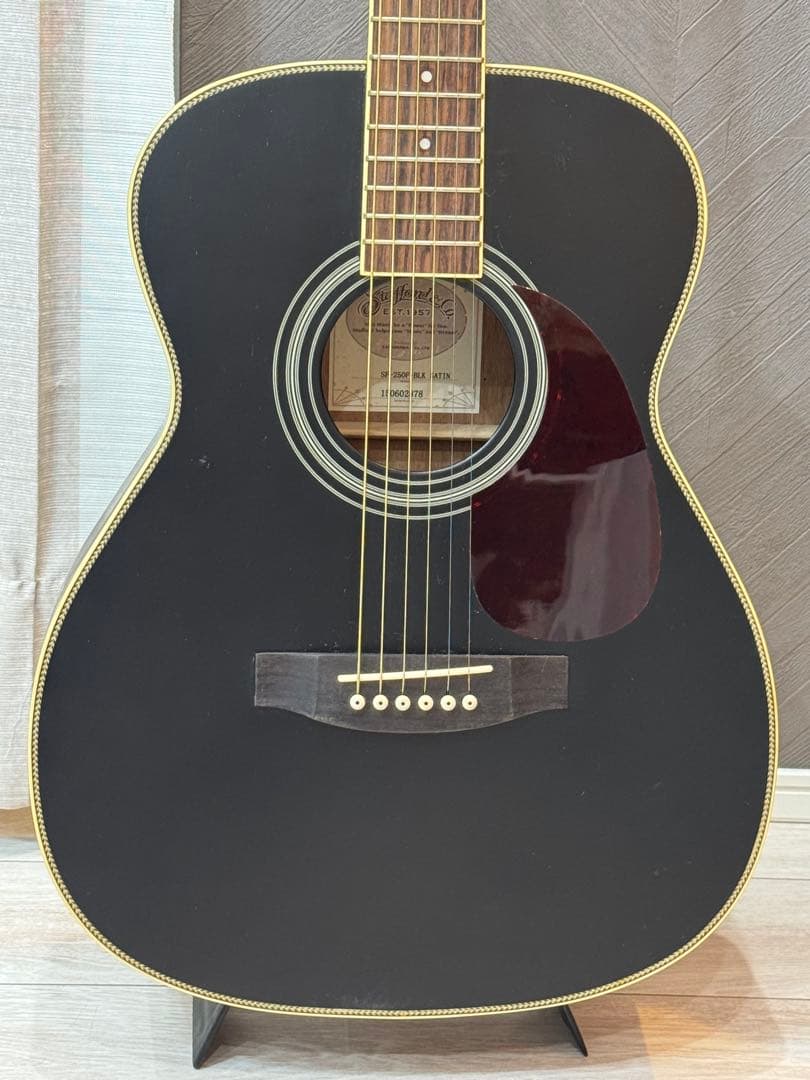 ギター stafford EST 1957 -SF-250F-BLK STAIN