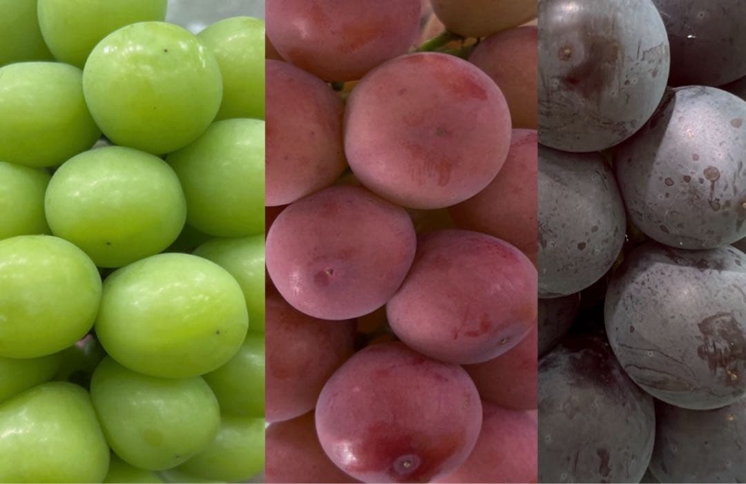 ブタうさぎさん専用