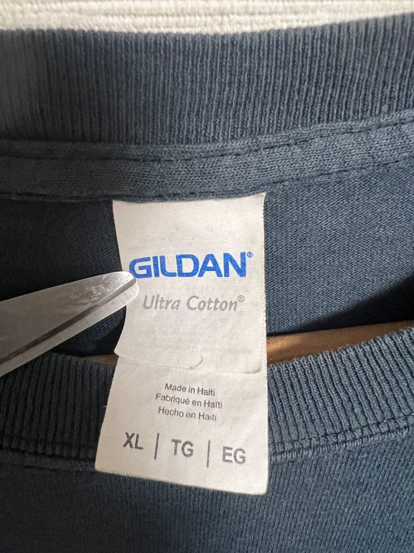 The BONEZ スカルTシャツ ザボーンズ Damaged Skull T