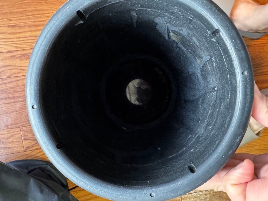 【REMO】ジャンベ 12インチ / USA製 / 美品