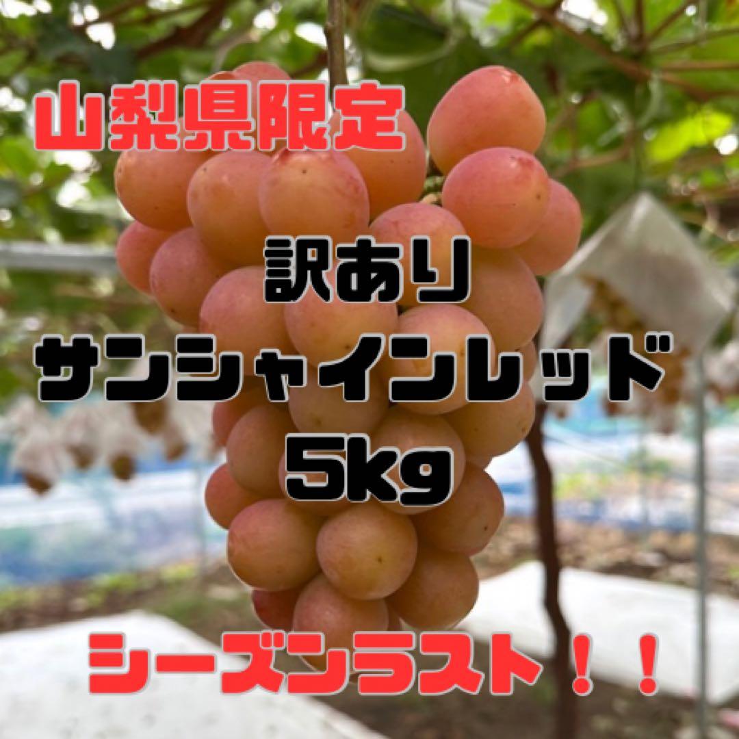 牡丹　訳ありサンシャインレッド、シャインマスカットMIX8房〜10房5kg
