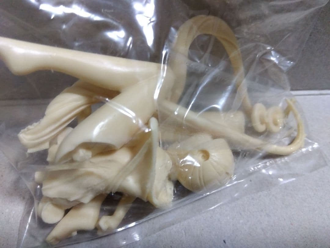 ムサシヤ　1／5スケールガレージキット　ホシノルリ