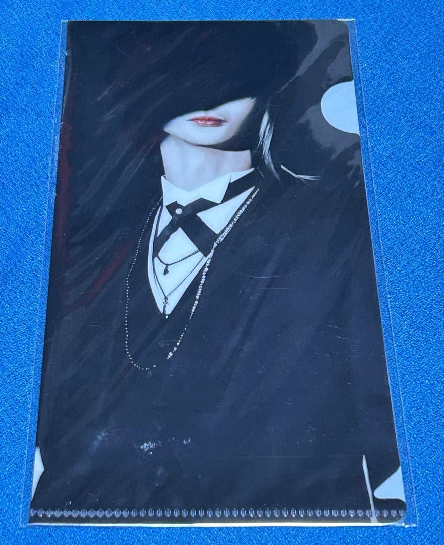 GARNiDELiA 美依礼芽 ブロマイド ミニカード Reol ラバーバンド