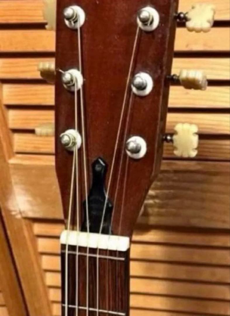 【激レア ジャパンヴィンテージ】HARRY DANIEL 0フレット アコギ