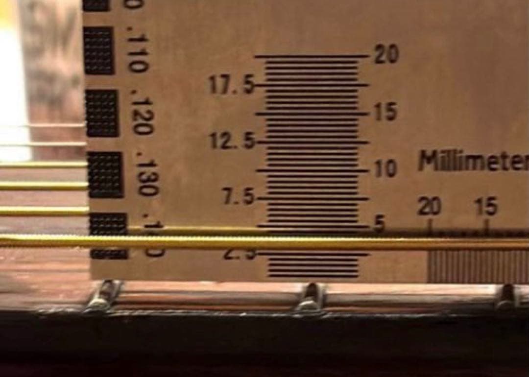 【激レア ジャパンヴィンテージ】HARRY DANIEL 0フレット アコギ