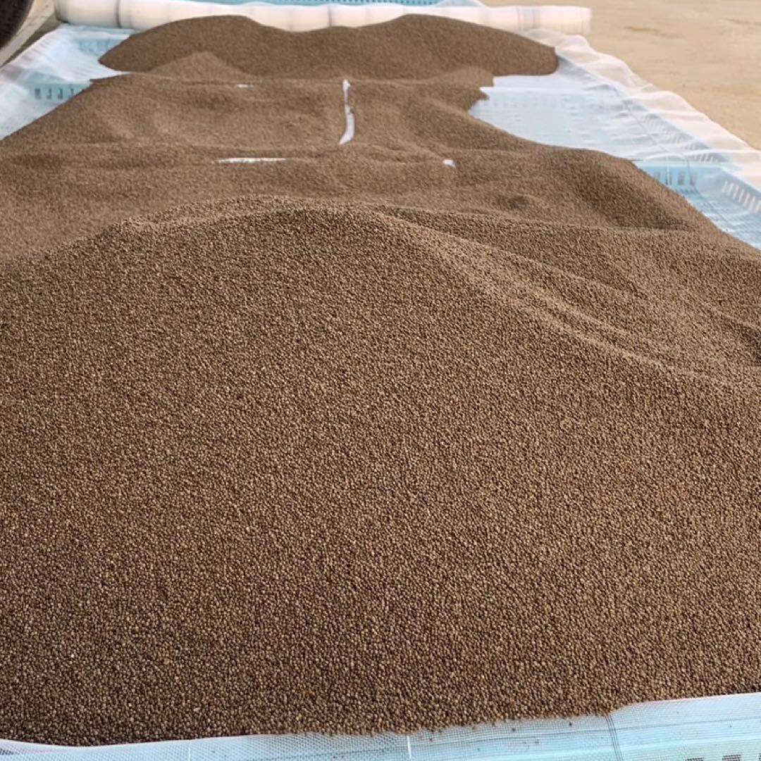 しろねこさま専用　5キロ