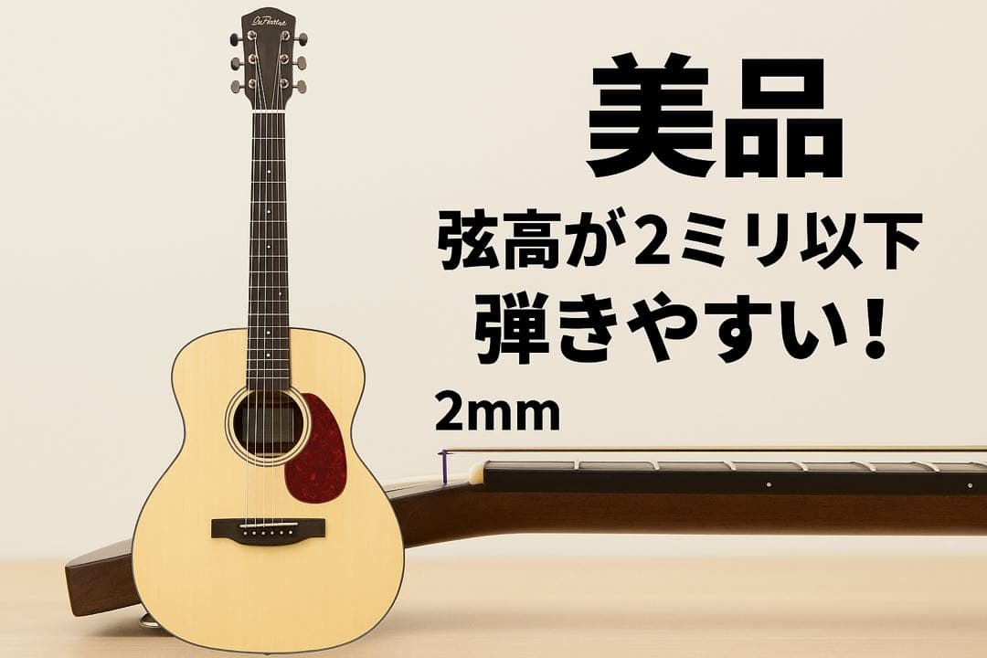 Aria アコースティックギター ARIA-100 MTN