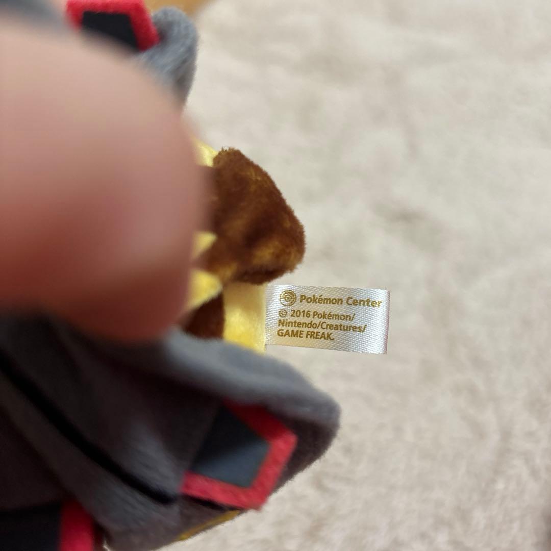 色違いレックウザのポンチョをきたピカチュウ ぬいぐるみ