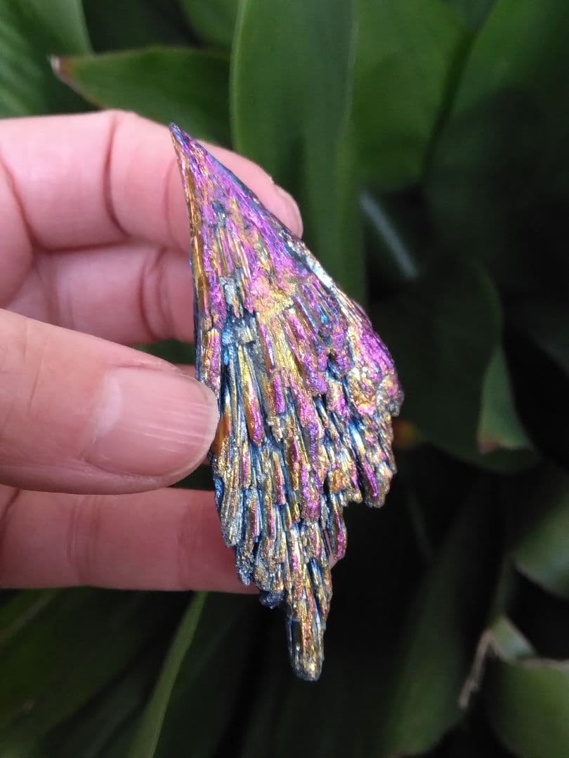 超希少❇龍神と対❇️鳳凰⭐四神⭐四神獣⭐四神相応⭐四神獣置物⭐お守り⭐心願成就