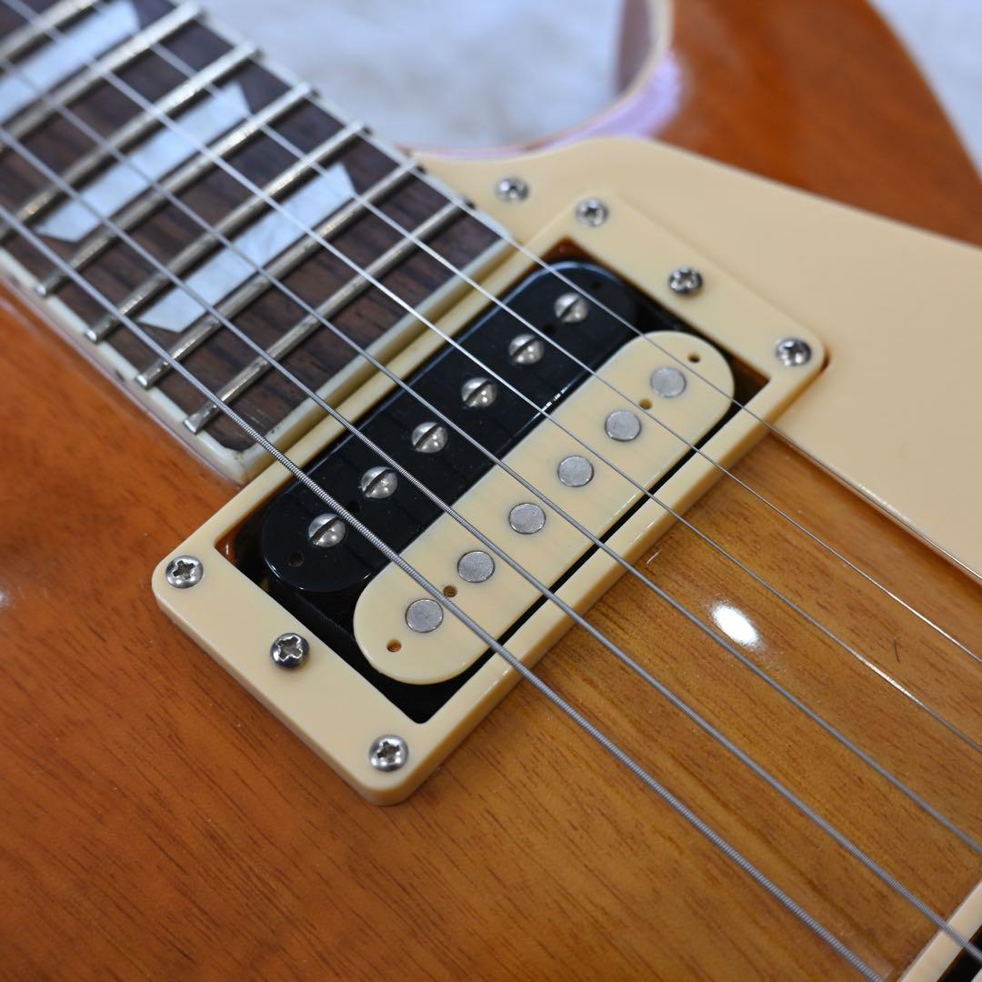 バッカス　レスポールスタンダードタイプ　ソフトケース付き