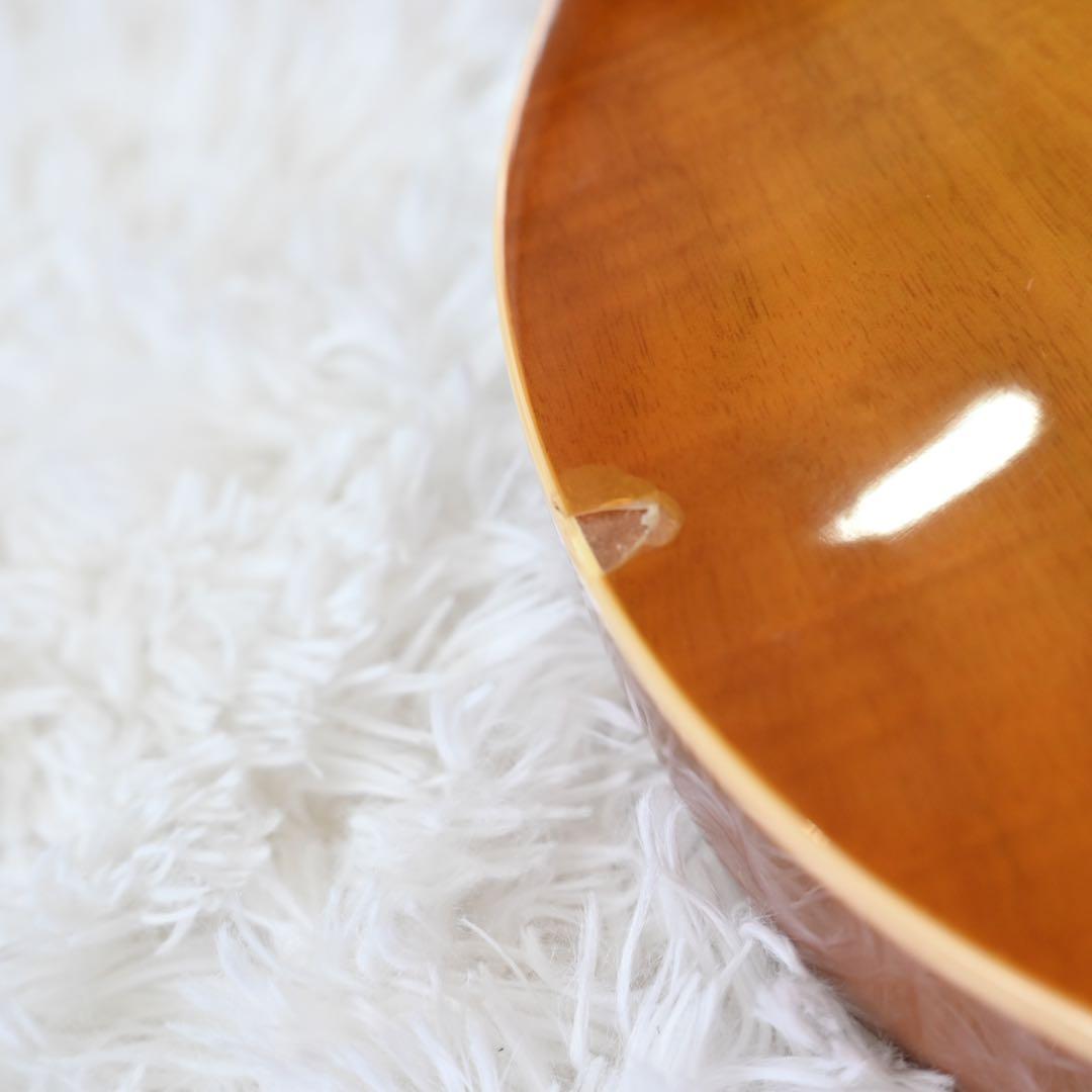 バッカス　レスポールスタンダードタイプ　ソフトケース付き