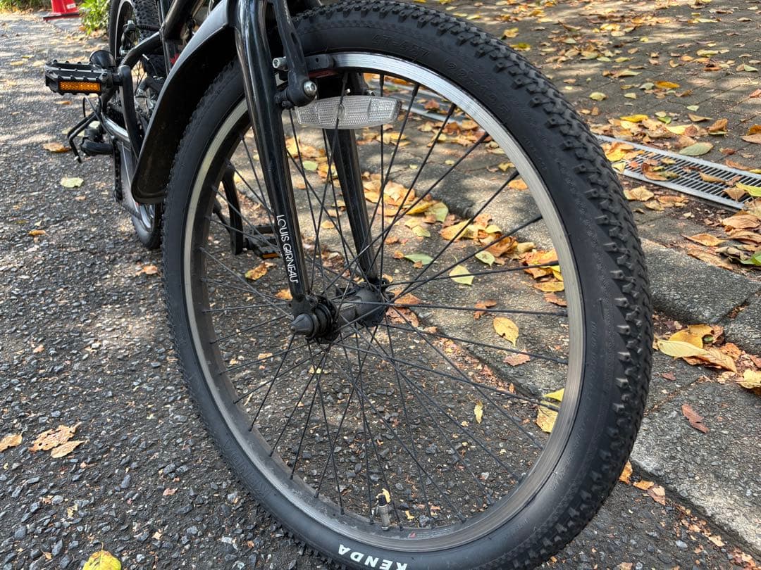 限定SALE 10/11迄★キッズバイクMTB BLACK 22インチ ルイガノ