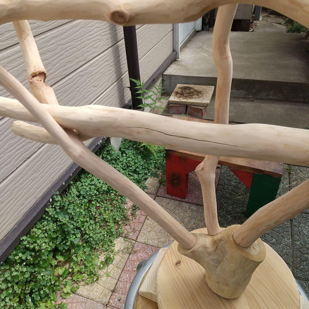 マロ小鳥の楽園バードアスレチックツリージム③