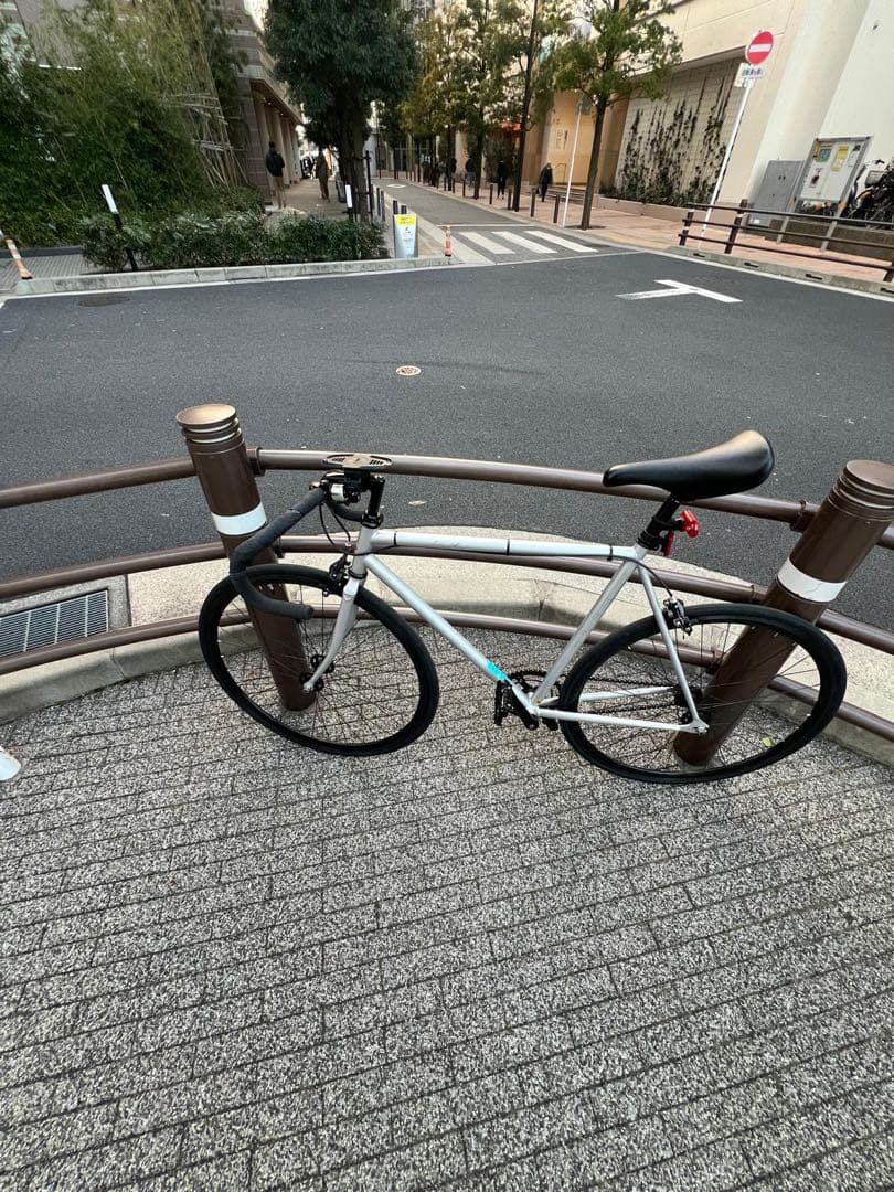 FUJI FEATHER シルバー