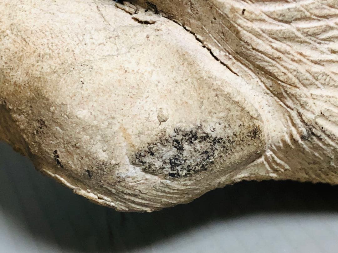 清水六兵衛　たぬき　狸　江戸　明治　大正　時代物　骨董品　置物　蔵出し