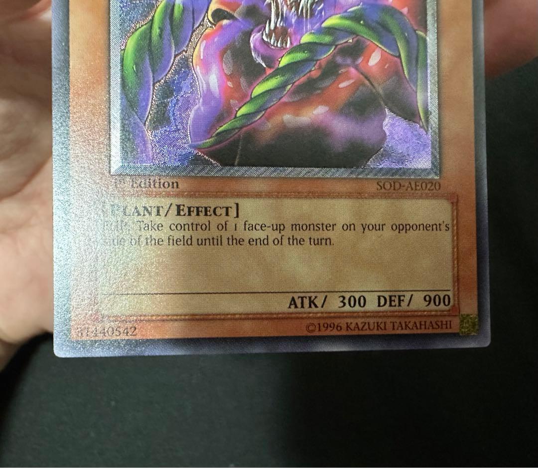 幻惑のラフレシア　アジア　レリーフ　美品