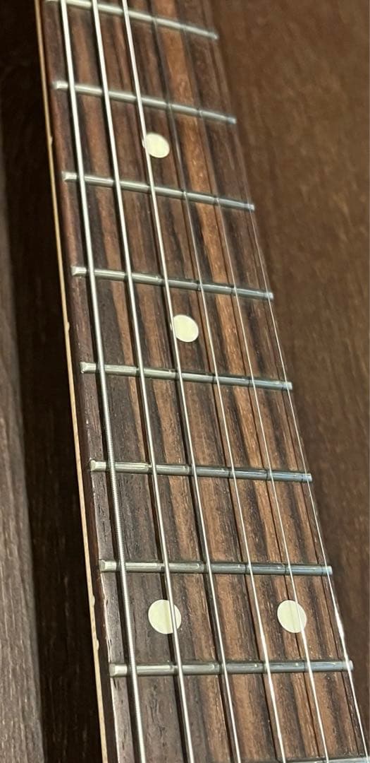 フジゲン NeoClassic ストラト NST110RAL