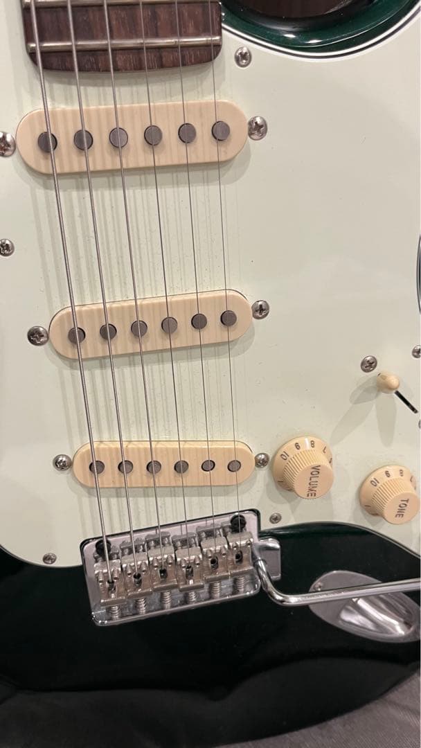 フジゲン NeoClassic ストラト NST110RAL