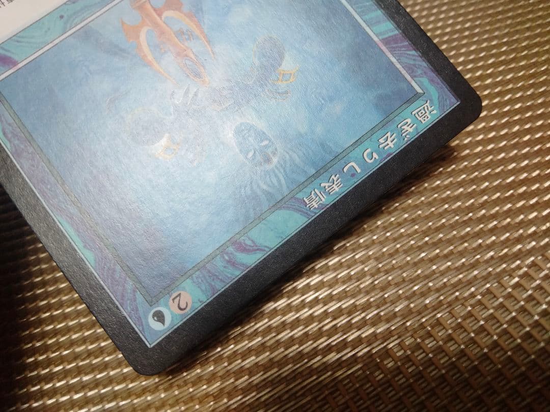 【ご確認用】スカージ 過ぎ去りし表情a 日本語 1枚　MTG