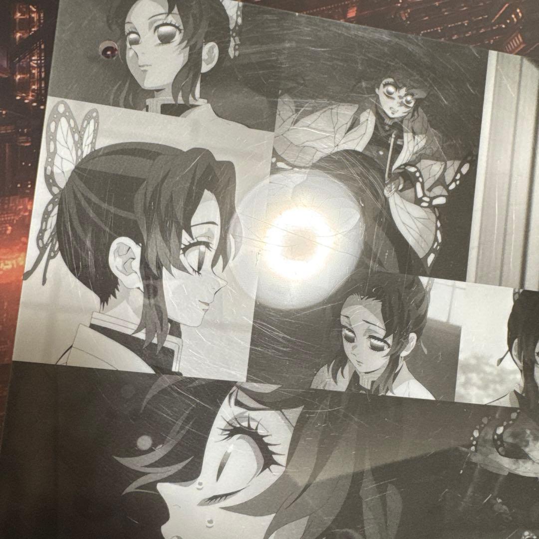 鬼滅の刃 柱イベント 柱稽古編 コラージュレイヤードパネル　胡蝶しのぶ