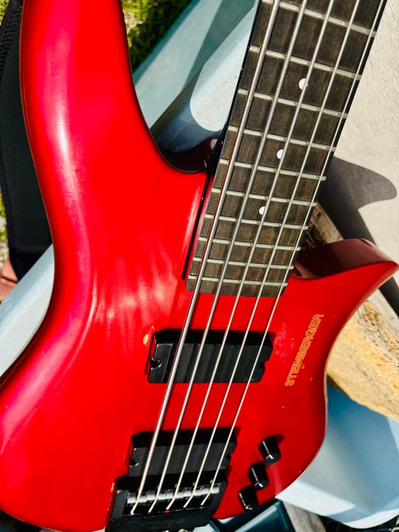 Steinberger XQ-25 1991 PLEK済み