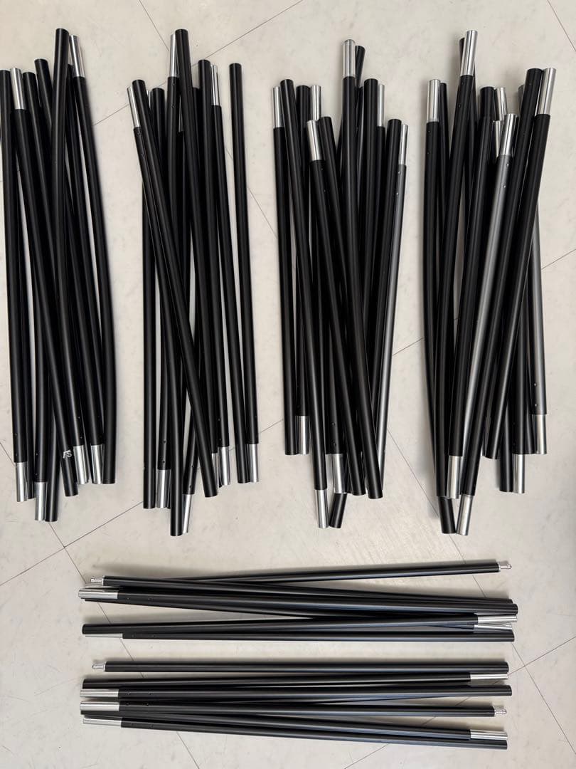 サバティカル　アルニカ　SABBTICAL ARNICA 使用回数2回