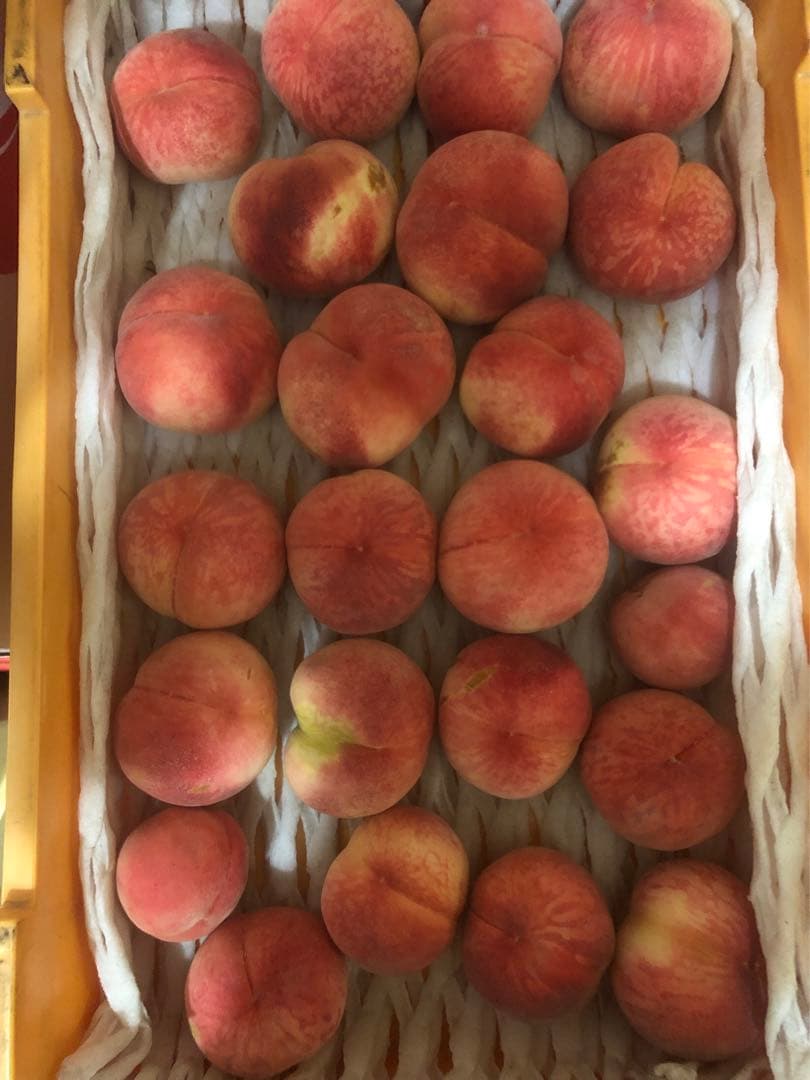 153.早勝ち福島産朝採り完熟桃箱込み15kg訳あり家庭用甘くて美味しい桃常温便