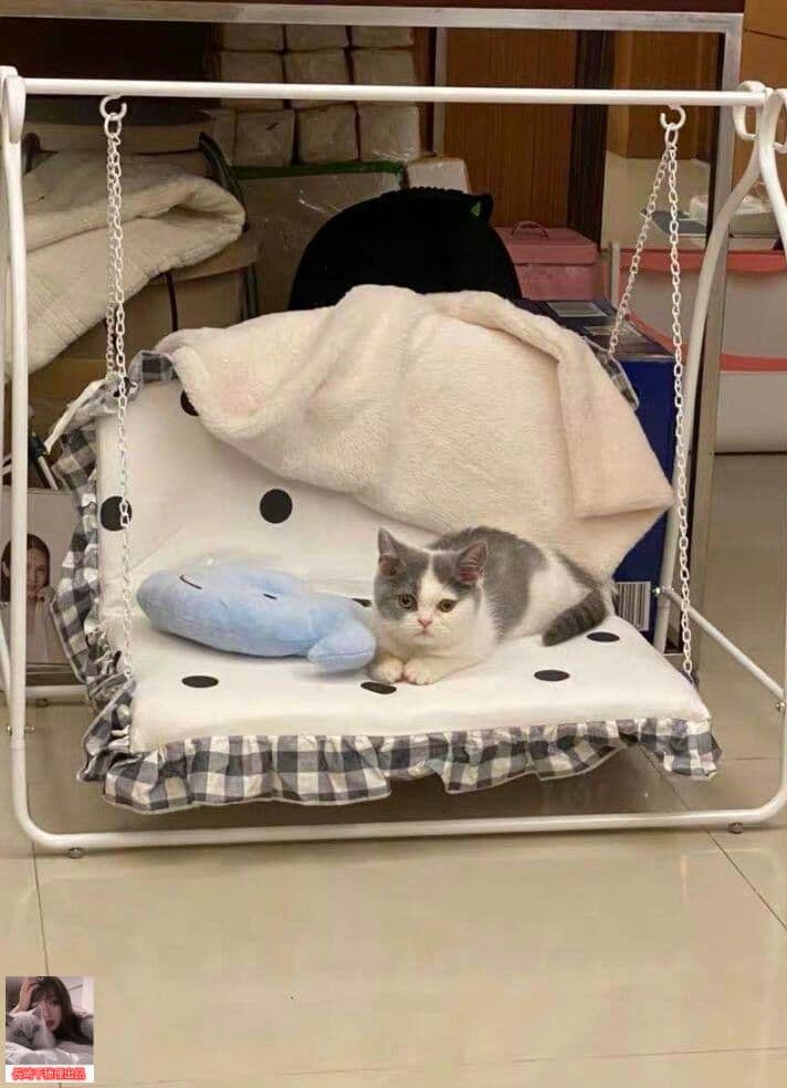 ングチェア用の小型犬や猫グッズのぬいぐるみを解体することができる7