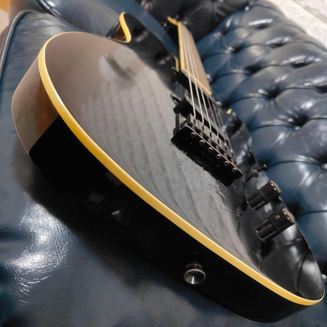 FERNANDES TEJ-STD LIMITED EDITION 布袋