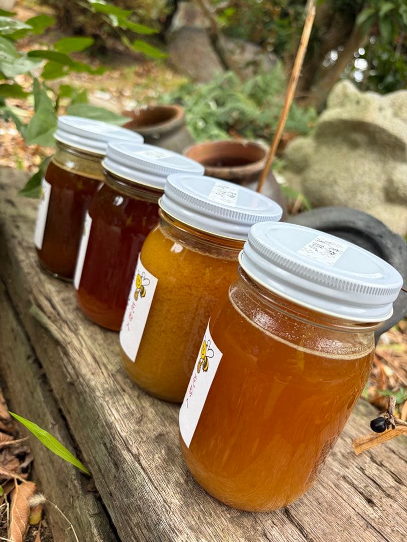 ハチミツ　日本蜜蜂の蜂蜜　巣箱違い谷違いの花粉入りはちみつ　奥山の奥