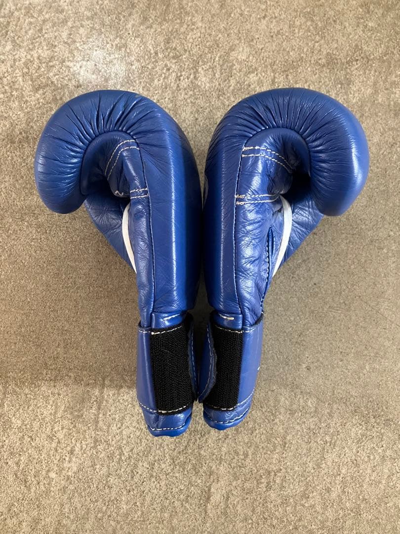 winning ウィニングボクシンググローブ ブルー 8オンス MS-200B