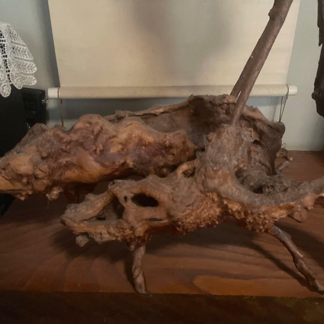 鶴の木彫オブジェ　枯れ木 流木 木彫り 彫刻 置物 アート 芸術 縁起物 古道具