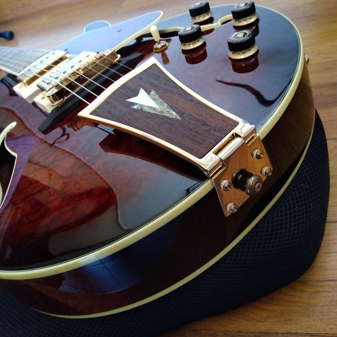 アイバニ―ズ　フルアコ　AK95―DBS―12―03　ソフトケ−ス付き