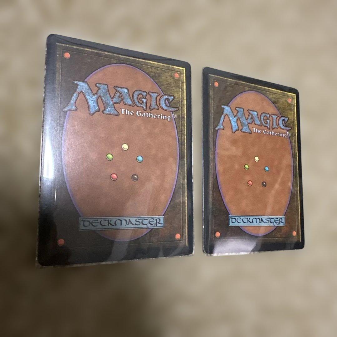 MTG 不毛の大地２枚セット