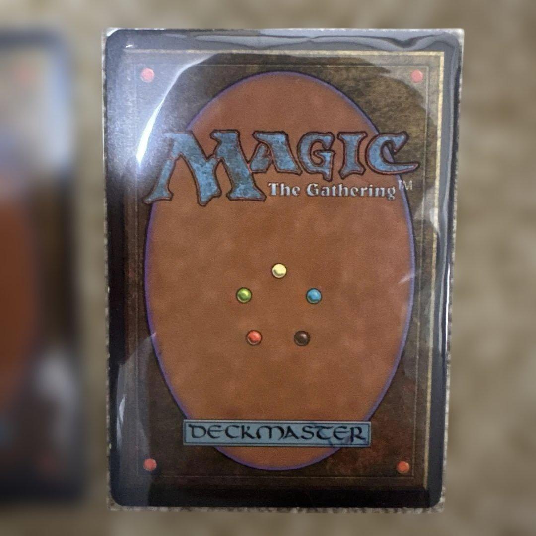 MTG 不毛の大地２枚セット