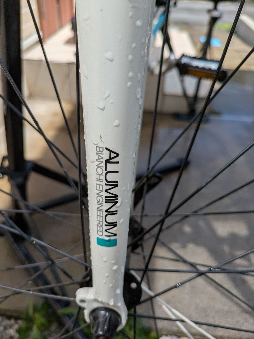 【引き渡し限定】ビアンキカメレオンテ2014年