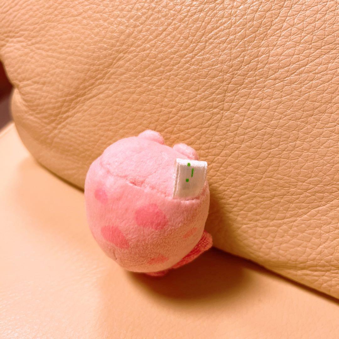 【ゆう】すみっコぐらし　サンエックスネットショップ　たぴおか　てのりぬいぐるみ