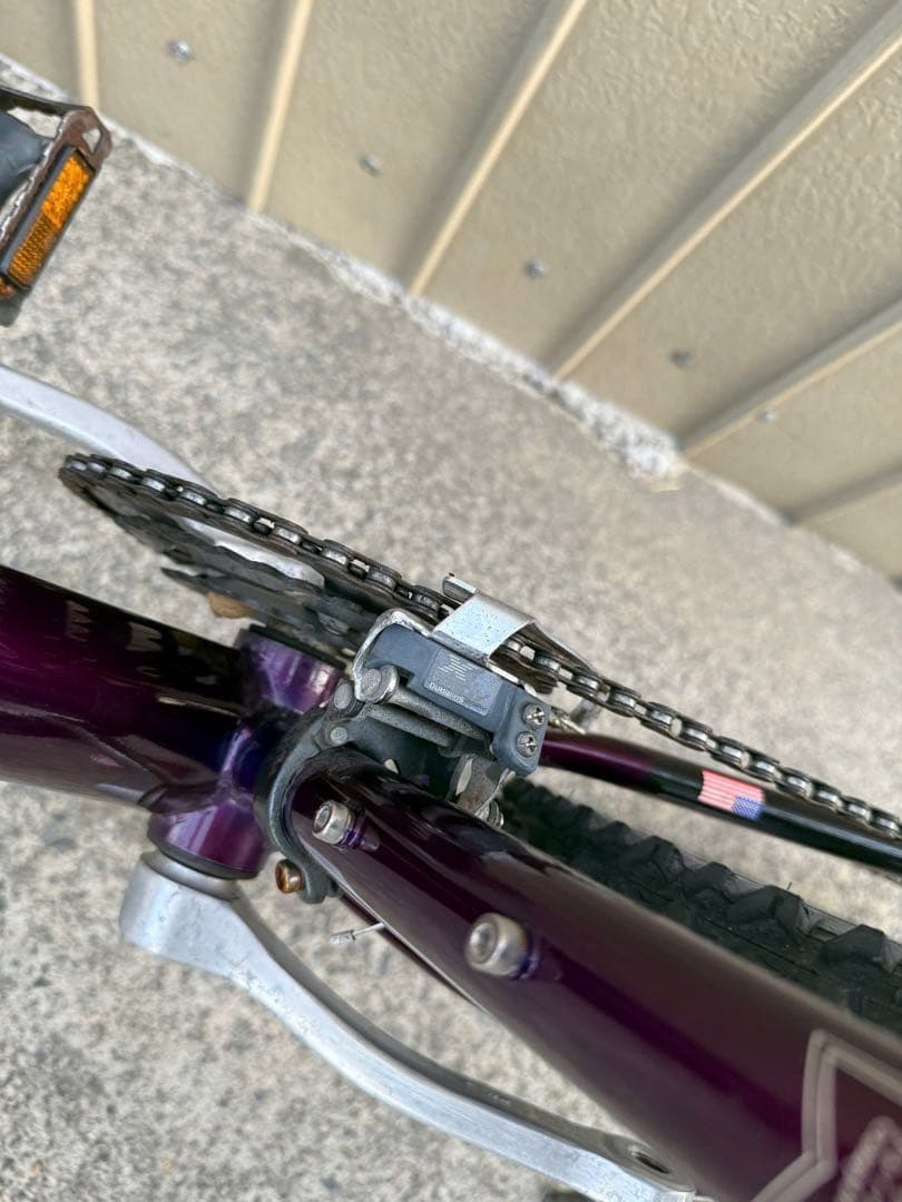 自転車本体 Raleigh USA