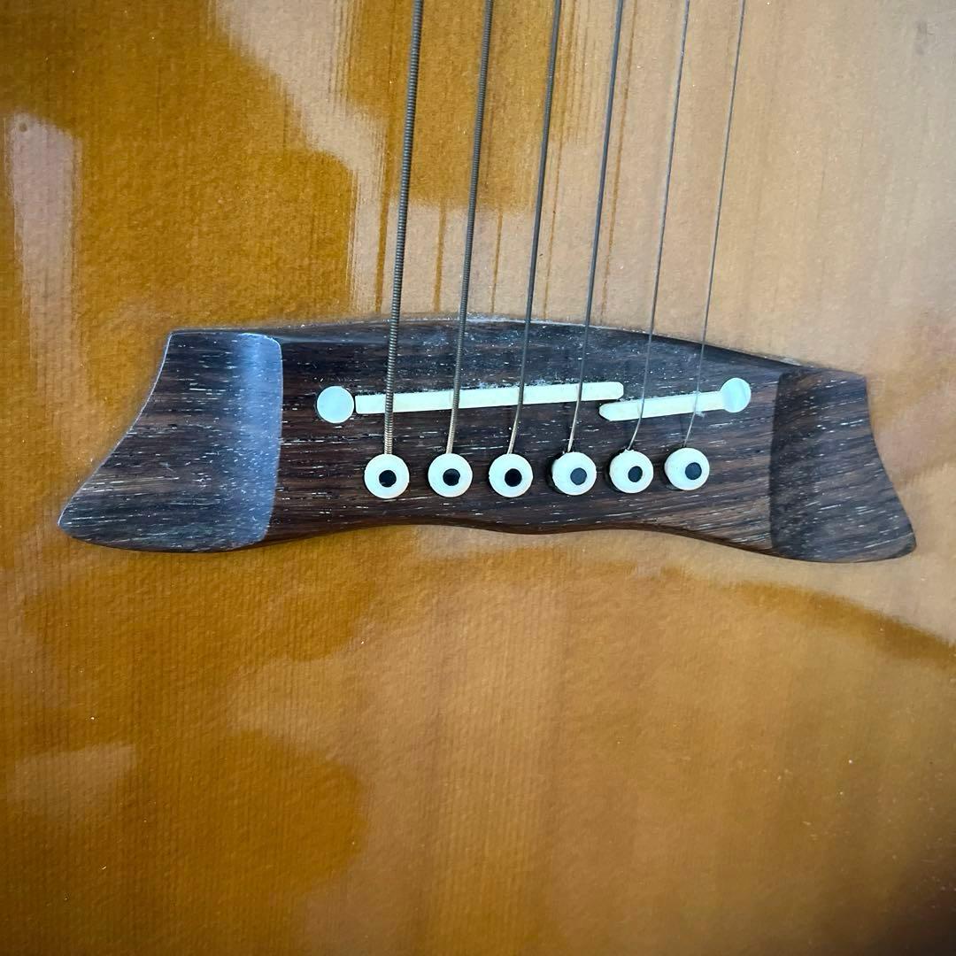 タカミネ　アコースティックギター　PT106